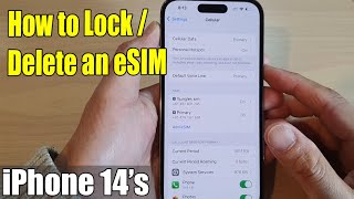Can I Use Esim on Locked Iphone
