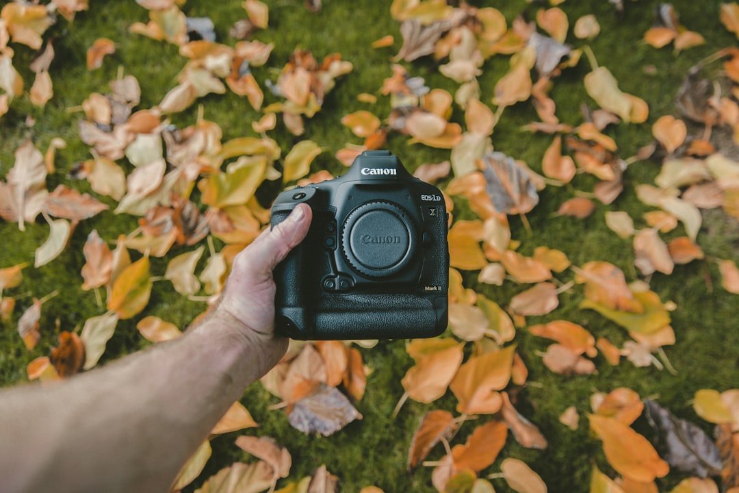 Photo Triple camera