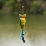 Photo Fishing bait