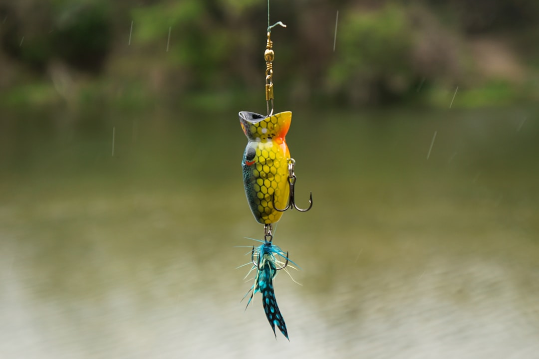 Photo Fishing bait