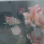 Photo recover photos