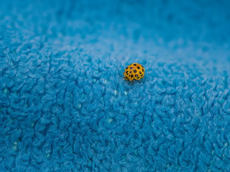 Photo yellow dot